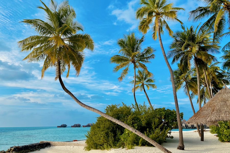 Zanzibar